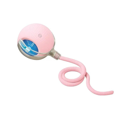 Mizusu Interactive Teaser Toy for Cats and Dogs with Two Additional Tails - Rolling Ball Toy for Kittens and Pets, Ideal Dog and Cat Accessories