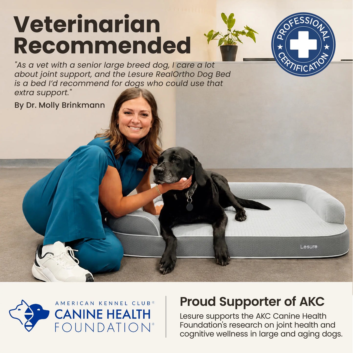 Lesure Realortho Orthopedic Dog Bed for Joint Support in Large and Senior Dogs