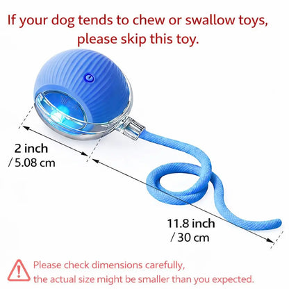 Mizusu Interactive Teaser Toy for Cats and Dogs with Two Additional Tails - Rolling Ball Toy for Kittens and Pets, Ideal Dog and Cat Accessories