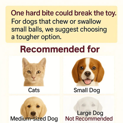 Mizusu Interactive Teaser Toy for Cats and Dogs with Two Additional Tails - Rolling Ball Toy for Kittens and Pets, Ideal Dog and Cat Accessories