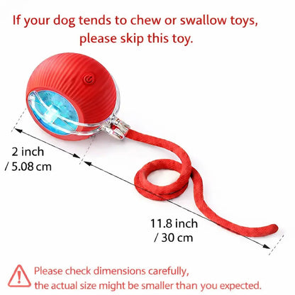 Mizusu Interactive Teaser Toy for Cats and Dogs with Two Additional Tails - Rolling Ball Toy for Kittens and Pets, Ideal Dog and Cat Accessories