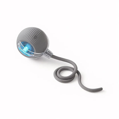 Mizusu Interactive Teaser Toy for Cats and Dogs with Two Additional Tails - Rolling Ball Toy for Kittens and Pets, Ideal Dog and Cat Accessories