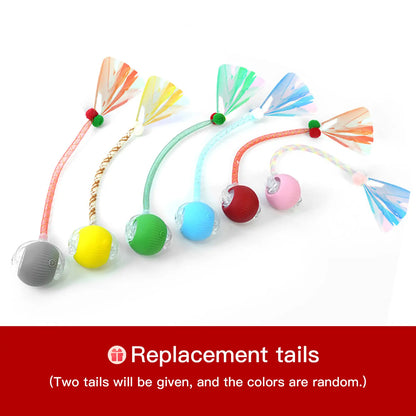 Mizusu Interactive Teaser Toy for Cats and Dogs with Two Additional Tails - Rolling Ball Toy for Kittens and Pets, Ideal Dog and Cat Accessories